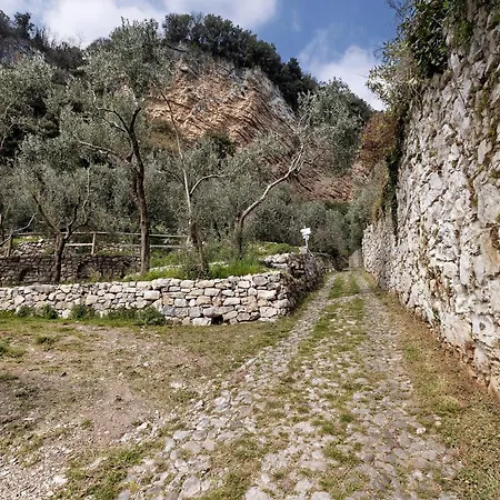 Holiday home Casa Limonaia Al Pos *